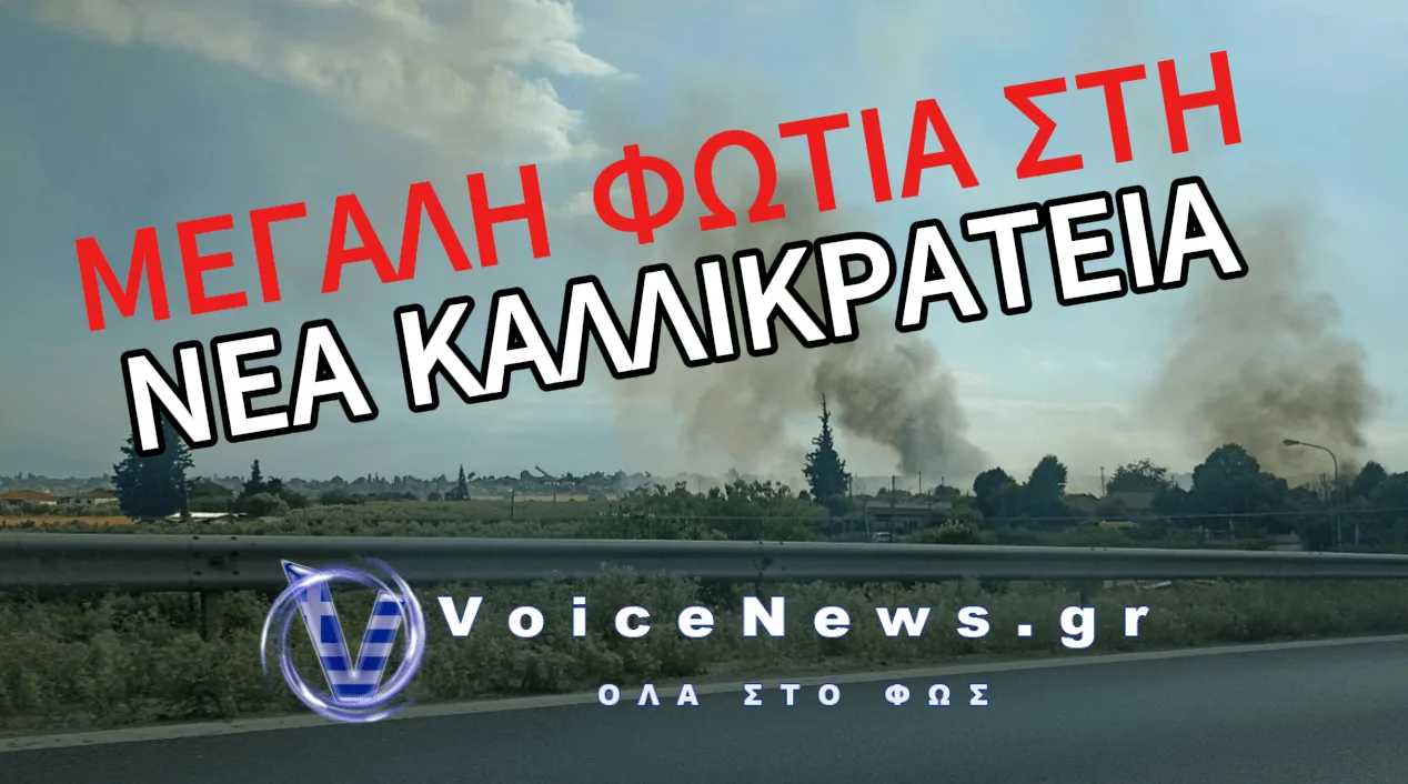 ΣΥΝΑΓΕΡΜΟΣ ΣΤΗ ΧΑΛΚΙΔΙΚΗ: ΚΑΙΓΟΝΤΑΙ ΣΠΙΤΙΑ ΣΤΗ ΝΕΑ ΚΑΛΛΙΚΡΑΤΕΙΑ (ΑΠΟΚΛΕΙΣΤΙΚΑ ΒΙΝΤΕΟ ΚΑΙ ΦΩΤΟ)