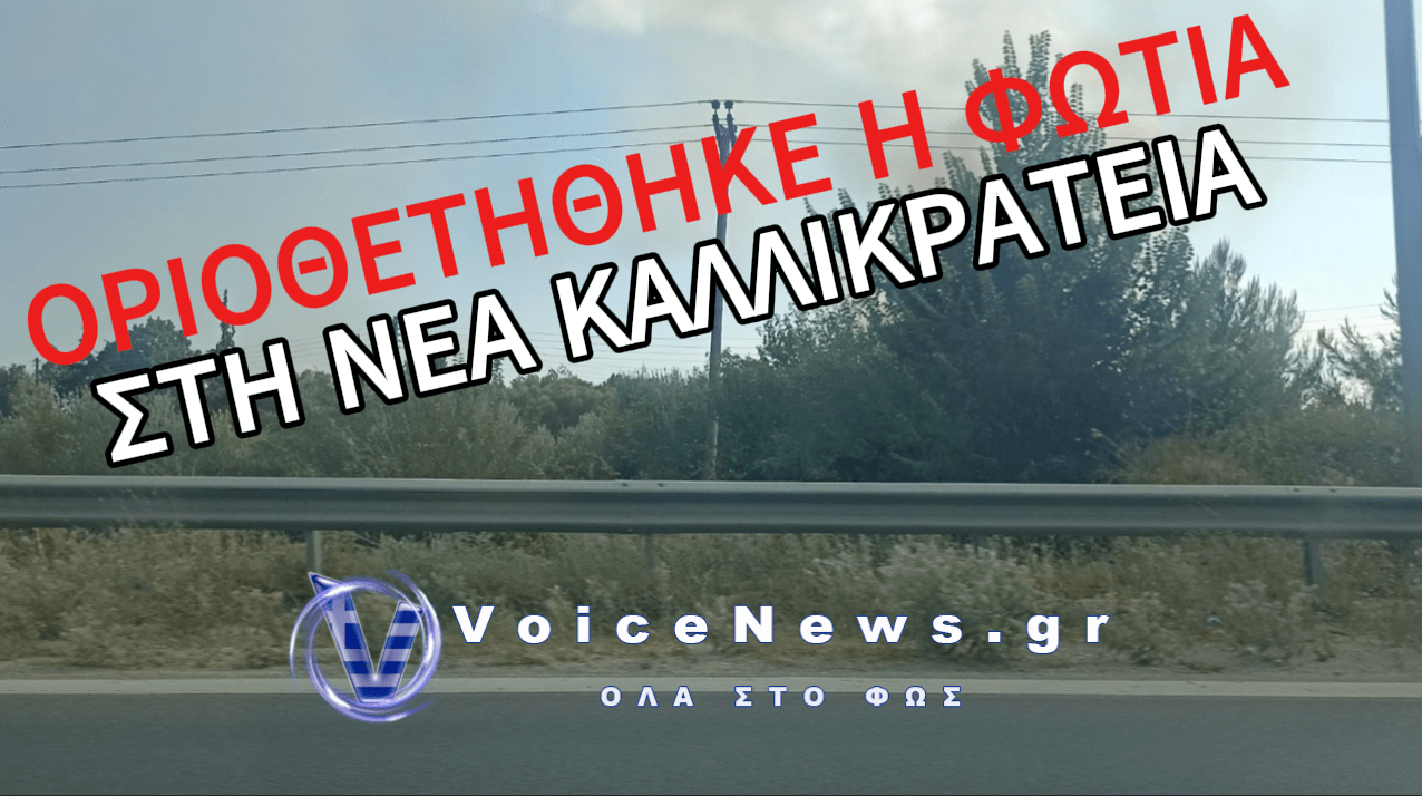 ΧΑΛΚΙΔΙΚΗ: ΥΠΟ ΠΛΗΡΗ ΟΡΙΟΘΕΤΗΣΗ ΤΕΘΗΚΕ Η ΦΩΤΙΑ ΣΤΗ ΝΕΑ ΚΑΛΛΙΚΡΑΤΕΙΑ