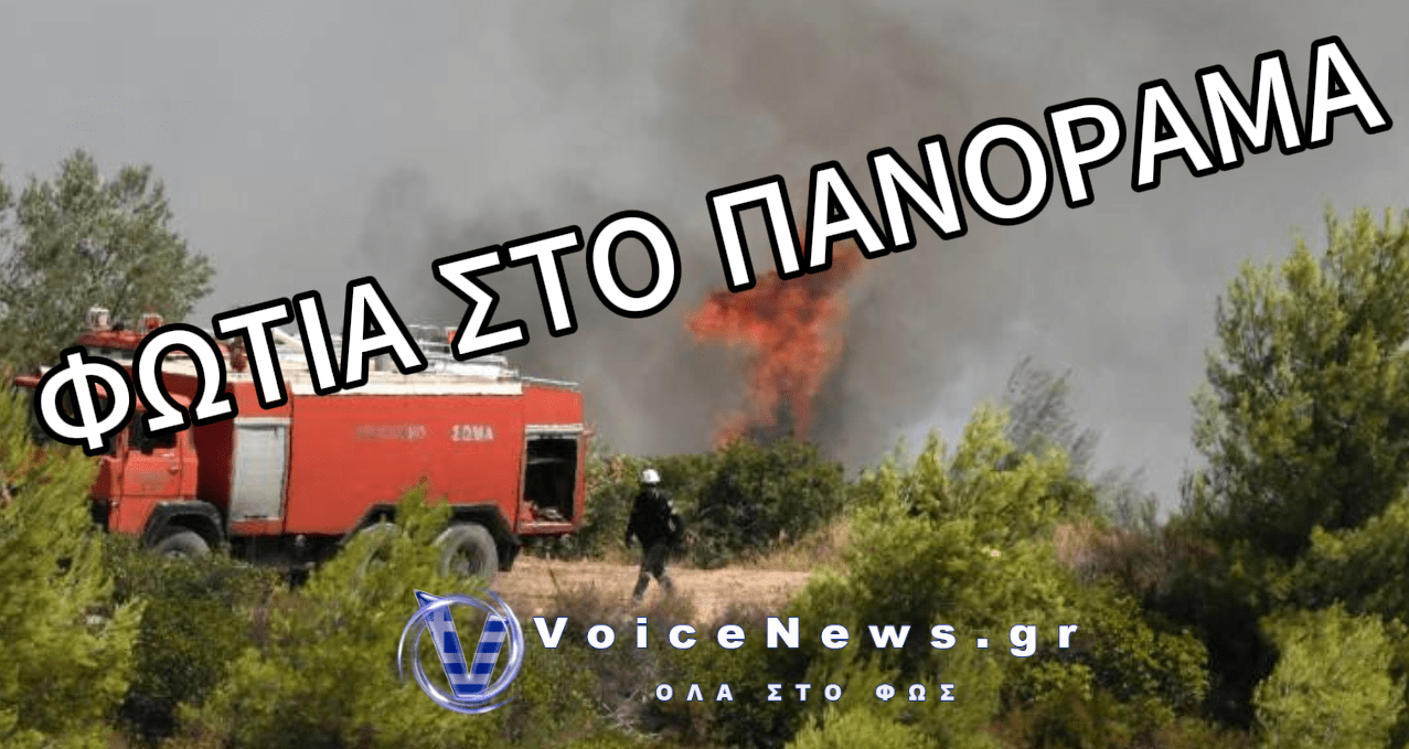ΦΩΤΙΑ ΣΤΟ ΠΑΝΟΡΑΜΑ ΘΕΣΣΑΛΟΝΙΚΗΣ – ΕΠΙΧΕΙΡΗΣΗ ΚΑΤΑΣΒΕΣΗΣ ΣΤΑ «ΑΜΕΡΙΚΑΝΙΚΑ»