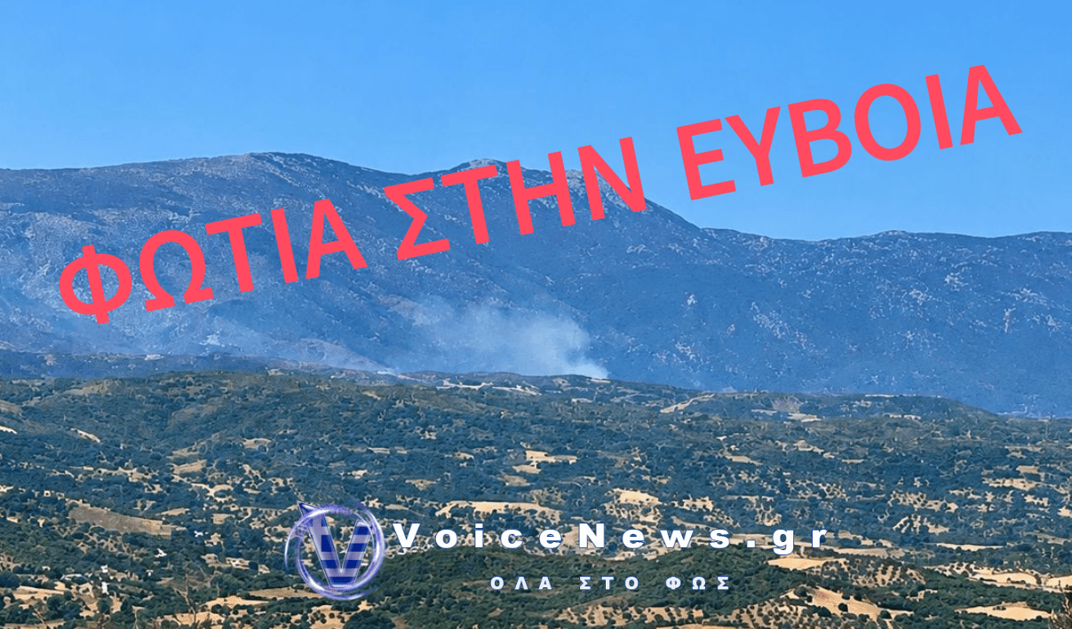 ΣΥΝΑΓΕΡΜΟΣ ΣΤΗΝ ΕΥΒΟΙΑ: ΜΕΓΑΛΗ ΦΩΤΙΑ ΣΤΗΝ ΕΠΙΣΚΟΠΗ – ΜΗΝΥΜΑ 112 ΓΙΑ ΑΜΕΣΗ ΕΚΚΕΝΩΣΗ ΤΟΥ ΧΩΡΙΟΥ