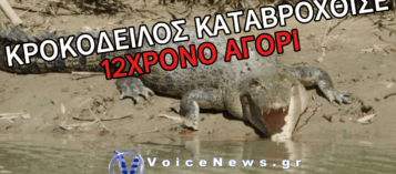 (ΣΚΛΗΡΟ ΒΙΝΤΕΟ): ΚΡΟΚΟΔΕΙΛΟΣ ΚΑΤΑΣΠΑΡΑΞΕ 12ΧΡΟΝΟ ΑΓΟΡΙ ΣΤΗΝ ΙΝΔΙΑ