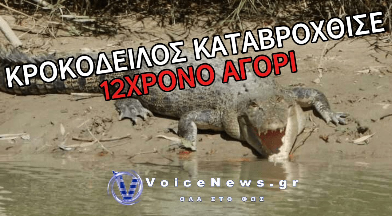 (ΣΚΛΗΡΟ ΒΙΝΤΕΟ): ΚΡΟΚΟΔΕΙΛΟΣ ΚΑΤΑΣΠΑΡΑΞΕ 12ΧΡΟΝΟ ΑΓΟΡΙ ΣΤΗΝ ΙΝΔΙΑ