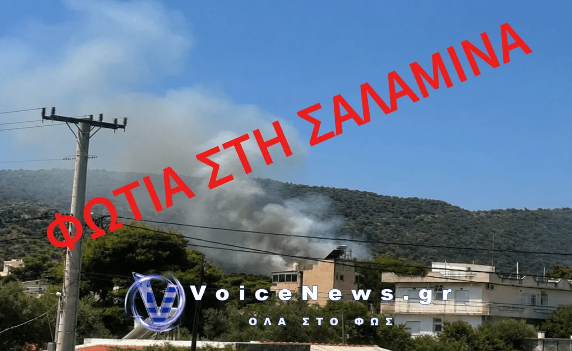 ΦΩΤΙΑ ΣΤΗ ΣΑΛΑΜΙΝΑ – ΜΗΝΥΜΑ ΑΠΟ ΤΟ 112 ΓΙΑ ΑΠΟΜΑΚΡΥΝΣΗ