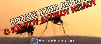 ΕΝΤΟΠΙΣΤΗΚΕ ΚΡΟΥΣΜΑ ΙΟΥ ΤΟΥ ΔΥΤΙΚΟΥ ΝΕΙΛΟΥ ΣΤΟΝ ΔΗΜΟ ΒΑΡΗΣ-ΒΟΥΛΑΣ-ΒΟΥΛΙΑΓΜΕΝΗΣ: ΠΩΣ ΜΕΤΑΔΙΔΕΤΑΙ Ο ΙΟΣ ΚΑΙ ΤΙ ΠΡΕΠΕΙ ΝΑ ΠΡΟΣΕΧΕΤΕ