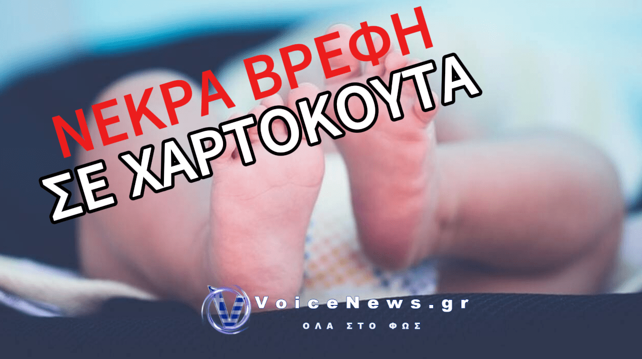 ΑΣΥΛΛΗΠΤΗ ΦΡΙΚΗ – ΠΕΝΤΕ ΝΕΚΡΑ ΒΡΕΦΗ ΒΡΕΘΗΚΑΝ ΣΕ ΧΑΡΤΟΚΟΥΤΑ