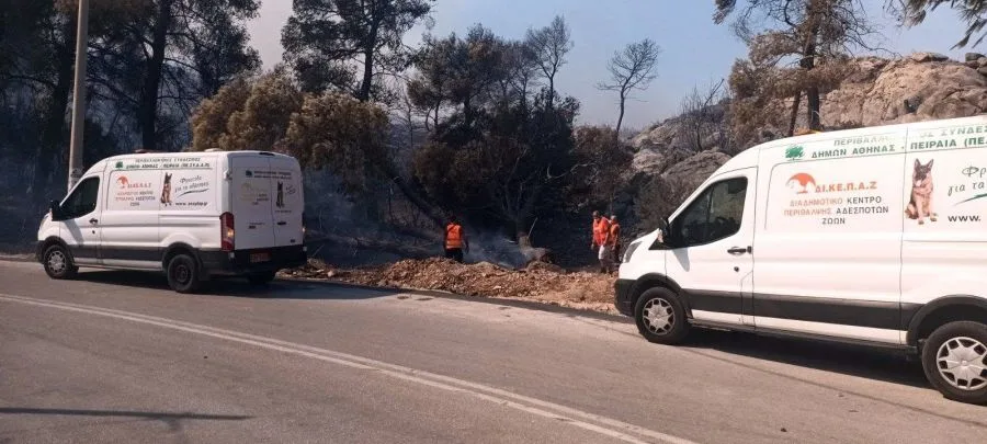 Εφιάλτης στο Πόρτο Γερμενό: Διασώστες πέρασαν μέσα από τις φλόγες για να σώσουν εγκλωβισμένα ζώα, δείτε φωτογραφίες