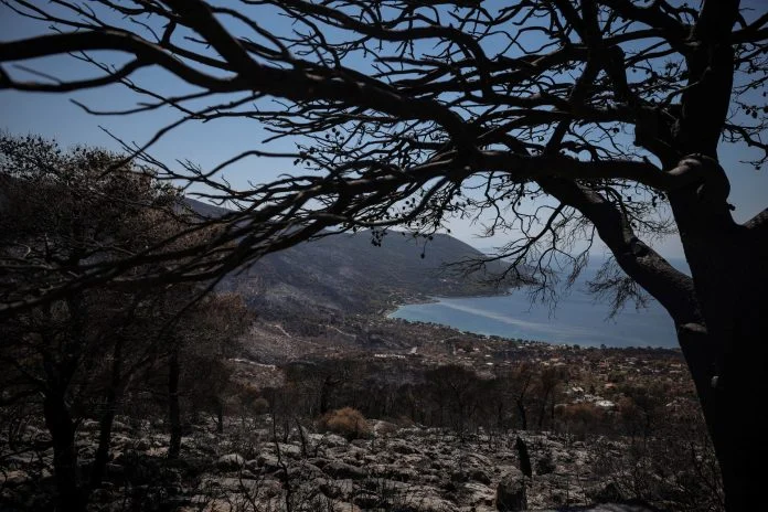 Πόρτο Γερμενό: Δορυφορικό σοκ μετά την πυρκαγιά – «Έβρασε» το έδαφος έως και 14 βαθμούς πάνω