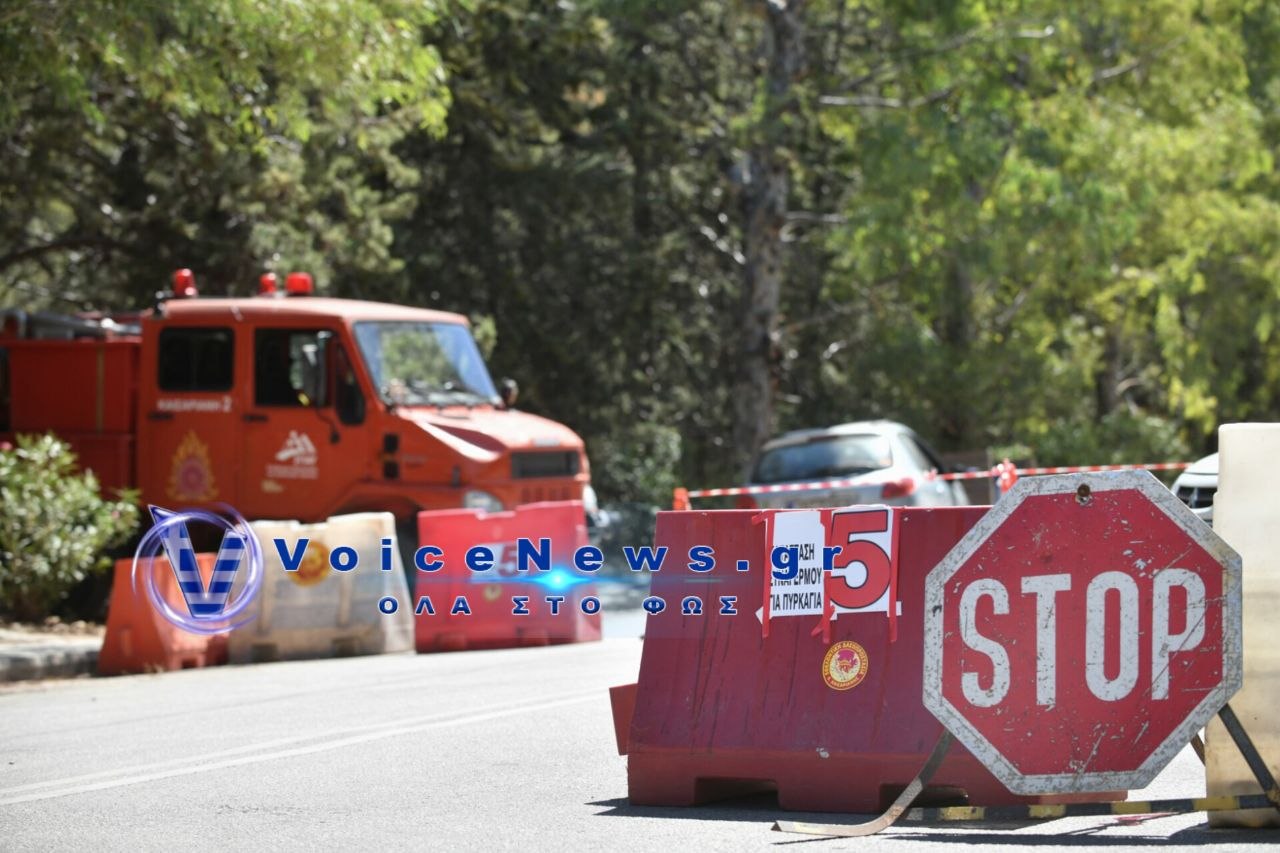 Χαλκιδική: Απαγόρευση κυκλοφορίας αύριο σε δασικές περιοχές των δήμων Κασσάνδρας, Σιθωνίας και Αριστοτέλη.