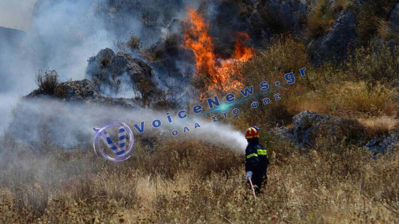 Φωτιά τώρα στη Μεσσηνία: Πυρκαγιά σε αγροτοδασική έκταση κοντά στο Νεοχώρι Οιχαλίας