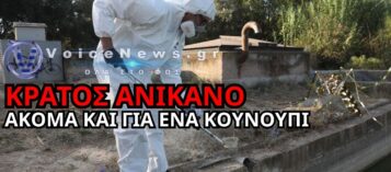 «ΠΡΟΣΤΑΤΕΥΟΥΝ ΠΕΤΡΕΛΑΪΚΕΣ, ΑΛΛΑ ΔΕΝ ΜΠΟΡΟΥΝ ΕΝΑ ΚΟΥΝΟΥΠΙ» – ΣΦΟΔΡΗ ΕΠΙΘΕΣΗ ΓΙΑ ΤΟΝ ΙΟ ΤΟΥ ΔΥΤΙΚΟΥ ΝΕΙΛΟΥ