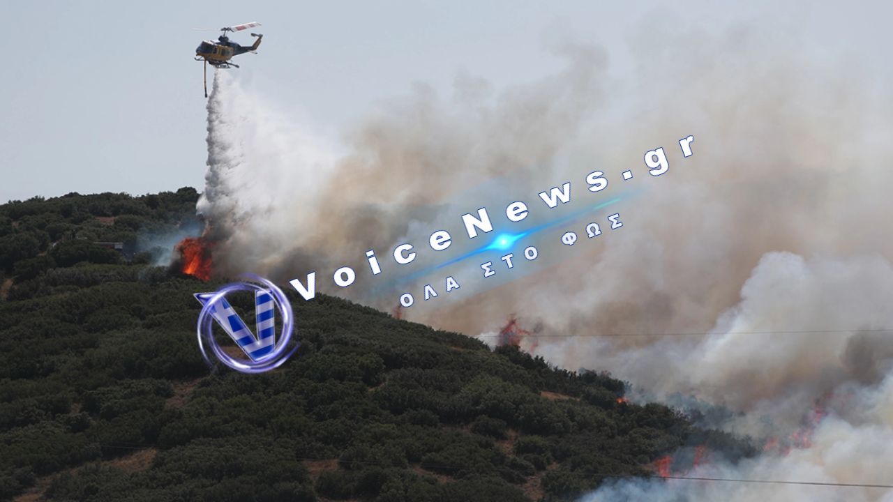 Παρέμβαση εισαγγελέα για τις φωτιές στη Θεσσαλονίκη – Στο μικροσκόπιο τα καλώδια του ΔΕΔΔΗΕ