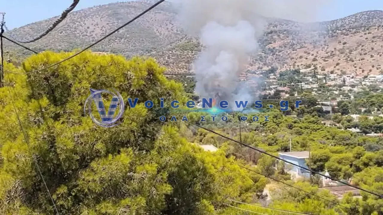 ΑΠΟ ΟΙΚΟΠΕΔΟ ΜΕ ΣΚΟΥΠΙΔΙΑ ΞΕΚΙΝΗΣΕ Η ΦΩΤΙΑ