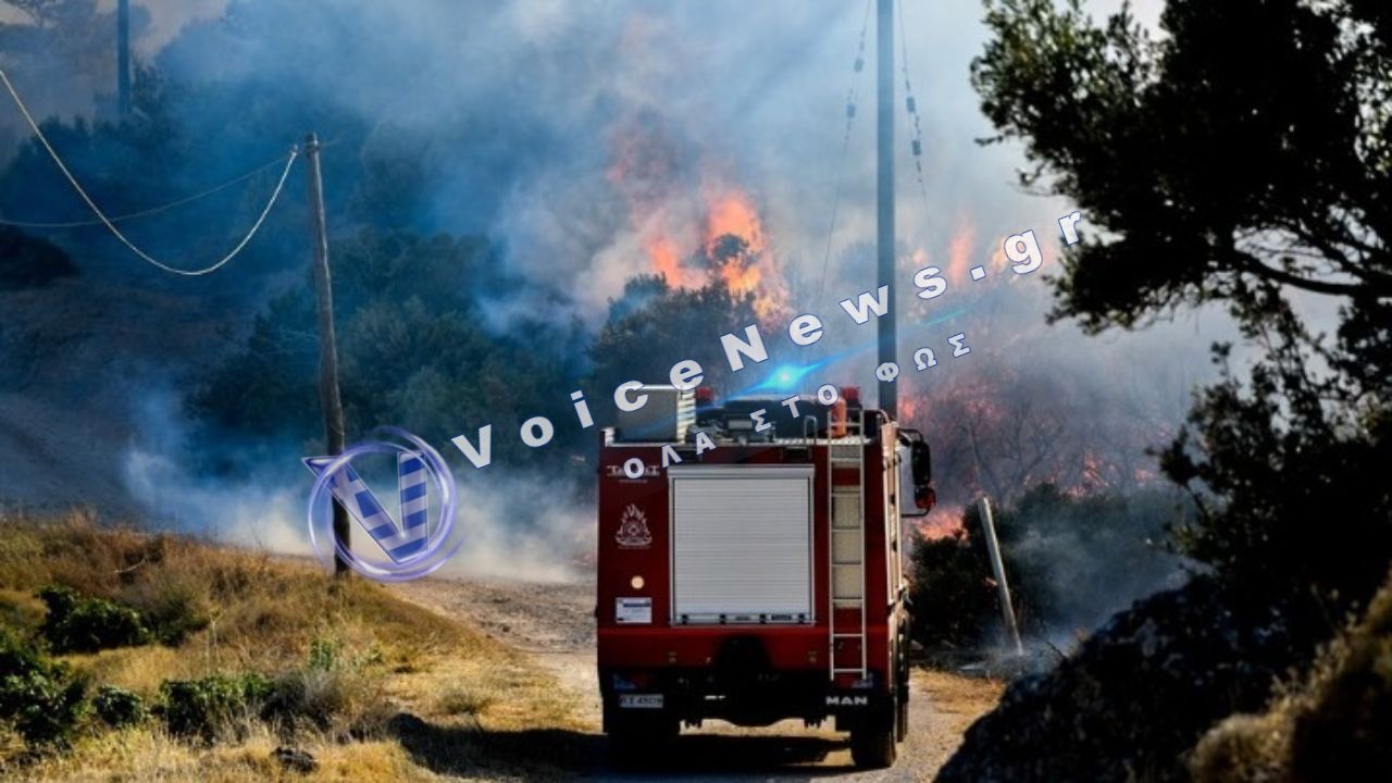 Καβάλα: Πυρκαγιά σε χαμηλή βλάστηση στον δήμο Παγγαίου