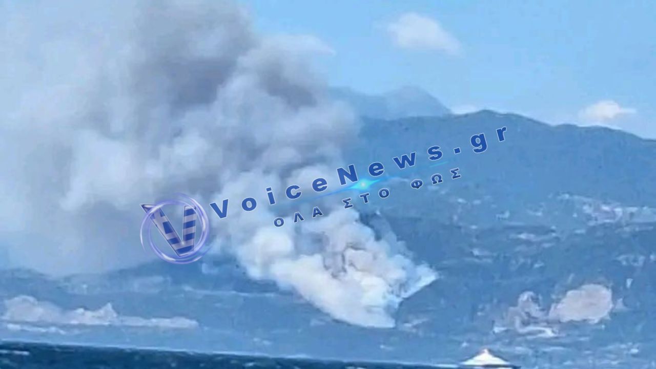 Φωτιά στη Φωκίδα: Πυρκαγιά σε αγροτοδασική έκταση στην περιοχή σκάλωμα