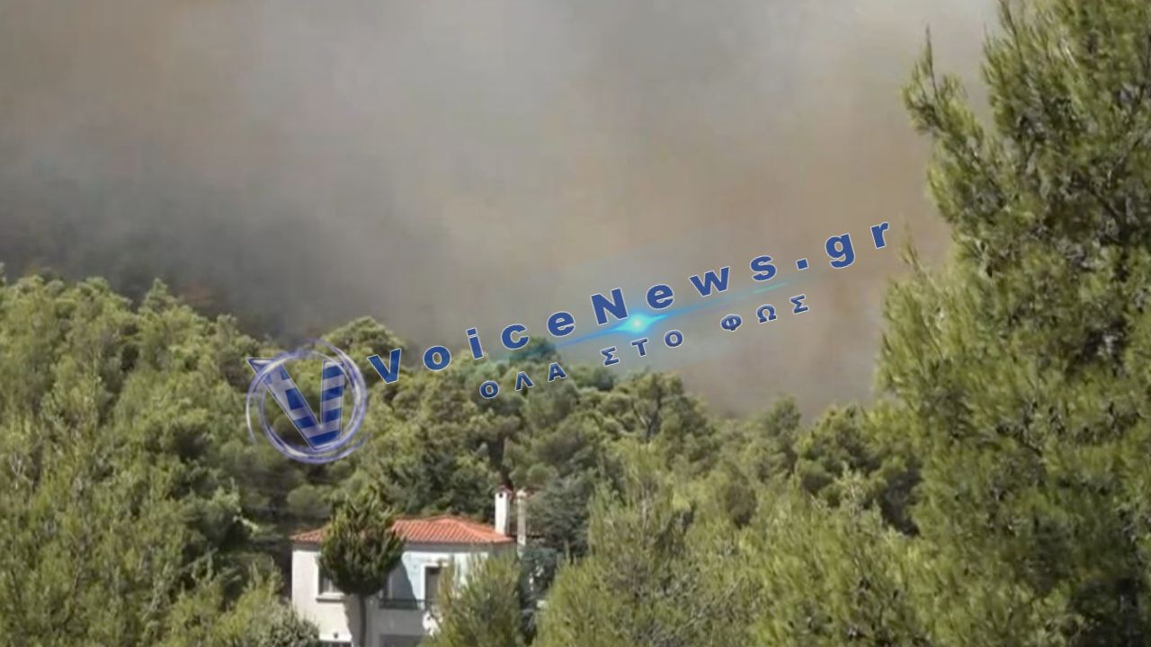 Φωτιά τώρα στα Βίλια: Οι φλόγες μπήκαν στον οικισμό Κρύο Πηγάδι