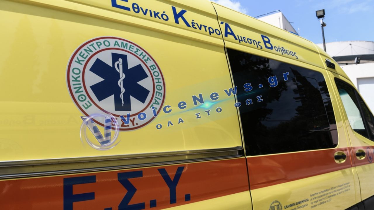 Εύβοια: Αδέσποτος σκύλος επιτέθηκε σε λουόμενους – Τρεις τραυματίες σε παραλία του Λευκαντίου