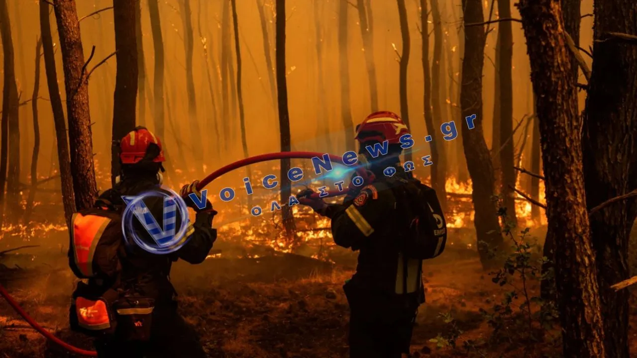 Πυροσβεστική: 33 συλλήψεις μέσα σε πέντε ημέρες για πυρκαγιές – εξιχνιάστηκαν τα αίτια στις μεγάλες φωτιές