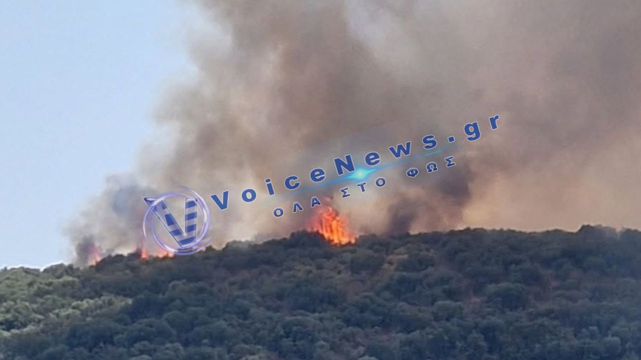 Μεγάλη αναζωπύρωση στον Κιθαιρώνα – Νέα μάχη με τις φλόγες για τις πυροσβεστικές δυνάμεις