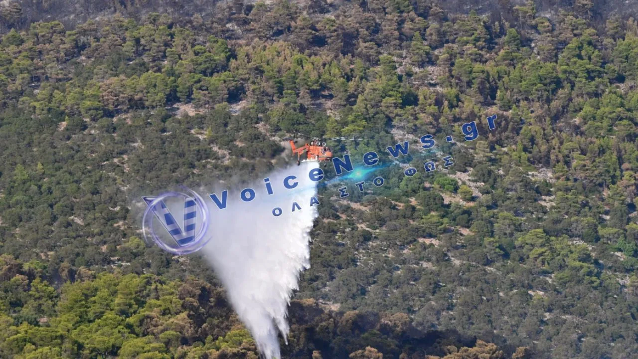Xωρίς ενεργό μέτωπο η φωτιά στη Δυτική Αττική – Συνεχίζονται οι επιχειρήσεις για τις αναζωπυρώσεις