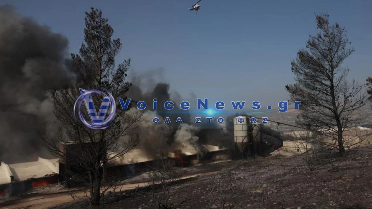 Φωτιά στον Ασπρόπυργο κοντά στις γραμμές του Προαστιακού – Διακοπή δρομολογίων