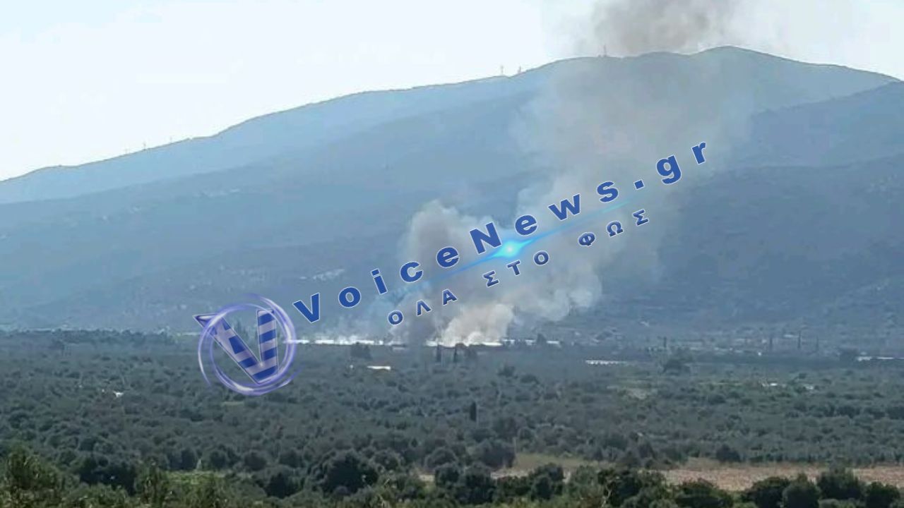 Τροιζηνία: Πυρκαγιά σε γεωργική έκταση και ξερή βλάστηση
