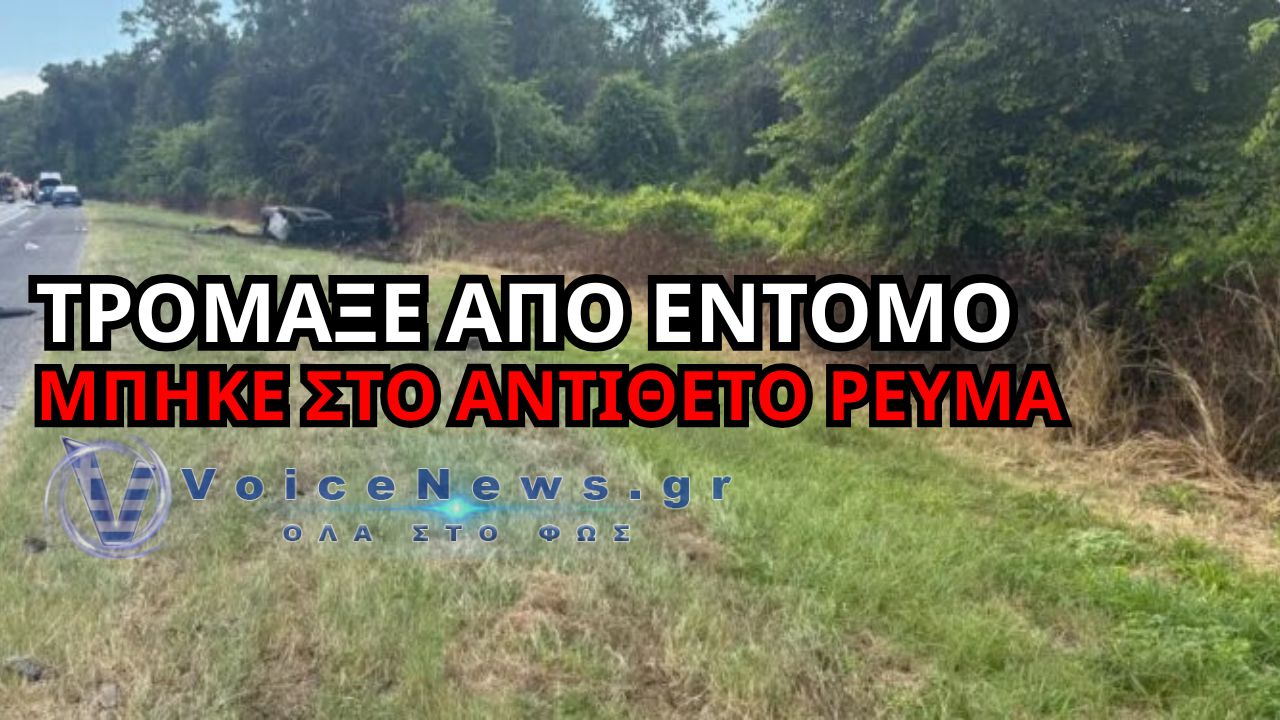 ΗΠΑ: ΤΡΟΜΑΞΕ ΑΠΟ ΕΝΤΟΜΟ ΚΑΙ ΠΡΟΚΑΛΕΣΕ ΤΡΑΓΩΔΙΑ – ΝΕΚΡΟΙ ΔΥΟ ΜΟΤΟΣΙΚΛΕΤΙΣΤΕΣ