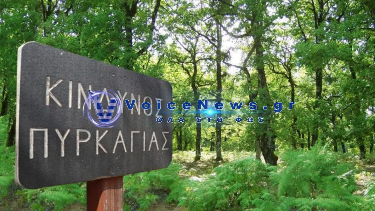 Υψηλός κίνδυνος πυρκαγιάς την Παρασκευή – Σε ποιες περιοχές ο δείκτης φτάνει στο 3