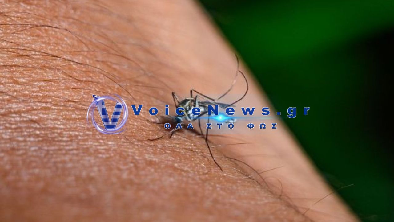 «Σαρώνει» ο ιός του Δυτικού Νείλου: 157 κρούσματα και 13 θάνατοι – Ποιες περιοχές βρίσκονται στο επίκεντρο
