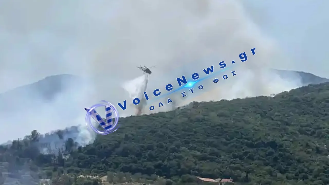 Θεσσαλία: Πυρκαγιά σε αγροτοδασική έκταση στον Δήμο Τεμπών
