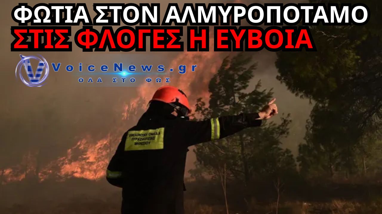 ΑΛΜΥΡΟΠΟΤΑΜΟΣ ΕΥΒΟΙΑΣ: ΦΩΤΙΑ ΤΩΡΑ – ΠΕΝΤΕ ΠΥΡΟΣΒΕΣΤΙΚΑ ΟΧΗΜΑΤΑ ΣΤΟ ΣΗΜΕΙΟ