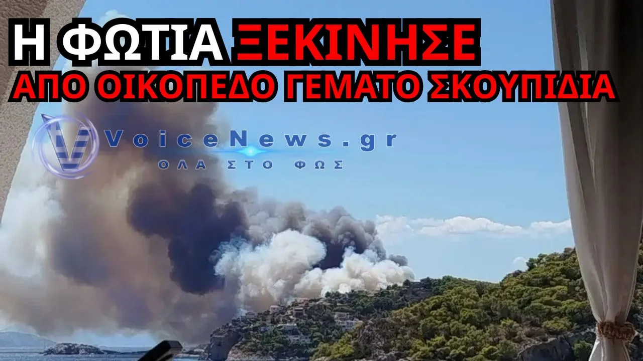 ΑΠΟ ΟΙΚΟΠΕΔΟ ΜΕ ΣΚΟΥΠΙΔΙΑ ΞΕΚΙΝΗΣΕ Η ΦΩΤΙΑ ΣΤΗΝ ΣΑΛΑΜΙΝΑ
