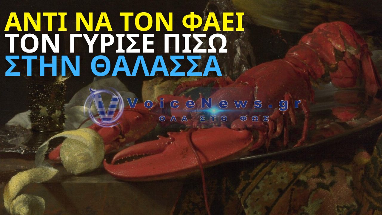 ΠΛΗΡΩΣΕ 300 ΕΥΡΩ ΓΙΑ ΑΣΤΑΚΟ ΚΑΙ ΤΟΝ ΕΠΕΣΤΡΕΨΕ ΣΤΗ ΘΑΛΑΣΣΑ