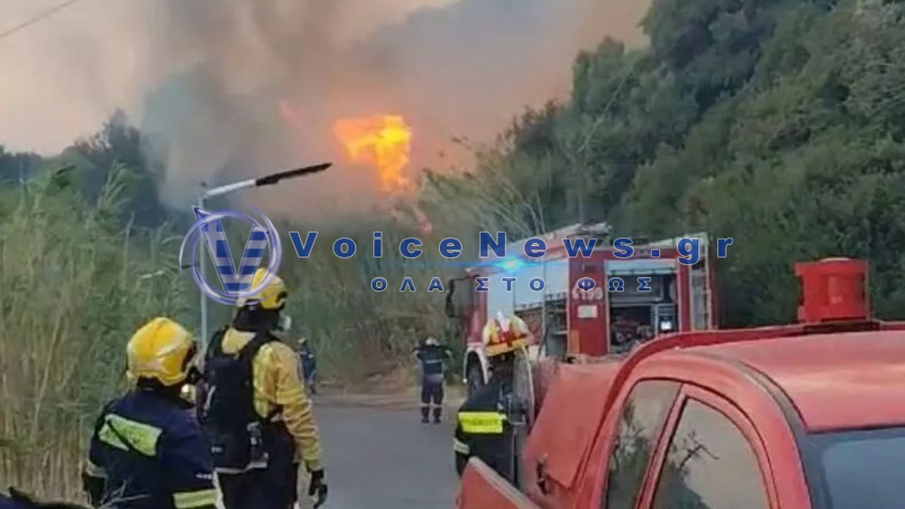 Φωτιά στο Ρέθυμνο: Η συγγνώμη του ιδιοκτήτη της βίλας – «Λυπάμαι βαθύτατα για κάθε δέντρο που κάηκε»