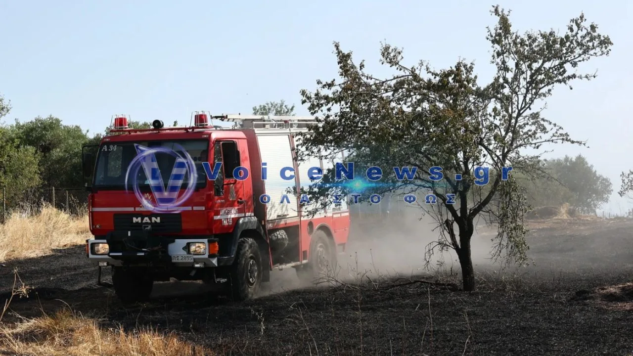Φωτιά τώρα στο Παλαιοχώρι Χαλκιδικής – Ισχυρές δυνάμεις της Πυροσβεστικής στο σημείο