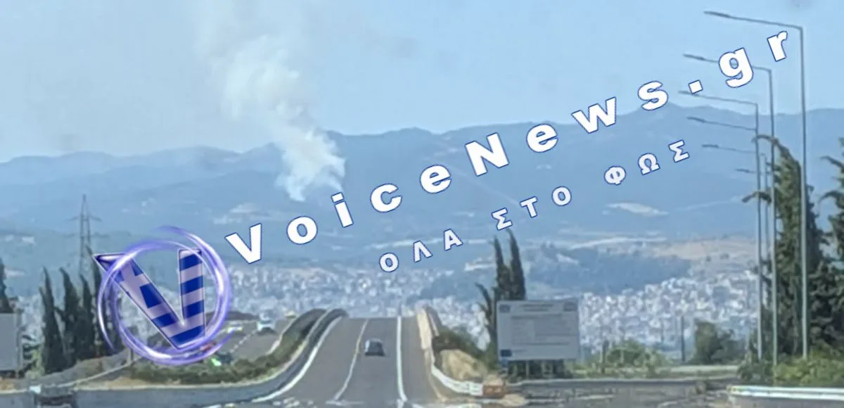 Πυρκαγιά στην Καμηλόβρυση Λαμίας (ΒΙΝΤΕΟ)