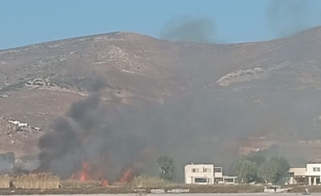 Συναγερμός στη Νάξο: Πυρκαγιά σε εξέλιξη μεταξύ Μικρής Βίγλας και Πλάκας – «Μάχη» με τους ισχυρούς ανέμους, δείτε βίντεο