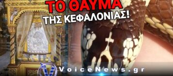 ΚΕΦΑΛΟΝΙΑ: ΕΜΦΑΝΙΣΤΗΚΑΝ ΤΑ ΠΡΩΤΑ «ΦΙΔΑΚΙΑ ΤΗΣ ΠΑΝΑΓΙΑΣ» ΛΙΓΟ ΠΡΙΝ ΤΟΝ ΔΕΚΑΠΕΝΤΑΥΓΟΥΣΤΟ!