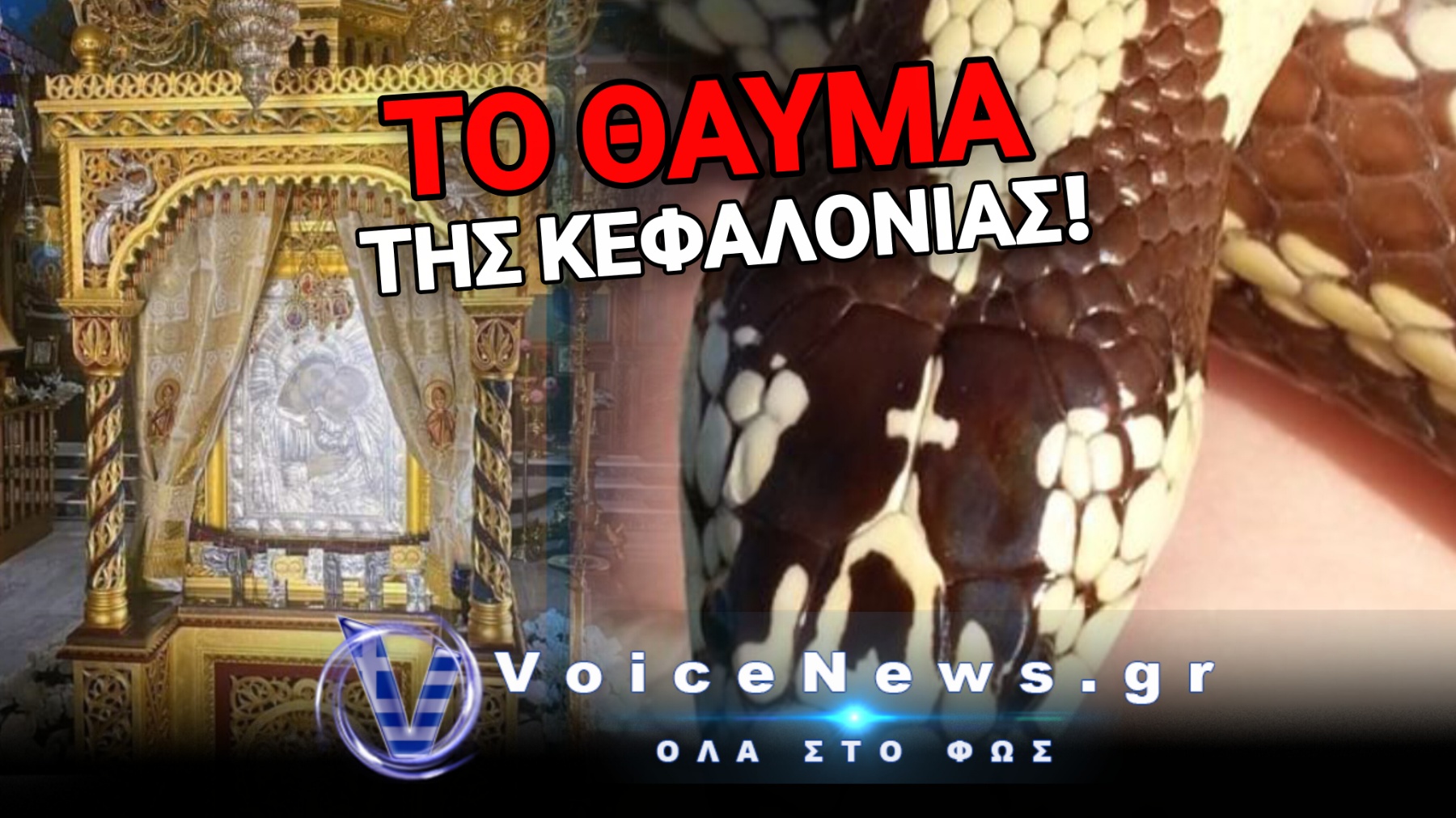 ΚΕΦΑΛΟΝΙΑ: ΕΜΦΑΝΙΣΤΗΚΑΝ ΤΑ ΠΡΩΤΑ «ΦΙΔΑΚΙΑ ΤΗΣ ΠΑΝΑΓΙΑΣ» ΛΙΓΟ ΠΡΙΝ ΤΟΝ ΔΕΚΑΠΕΝΤΑΥΓΟΥΣΤΟ!
