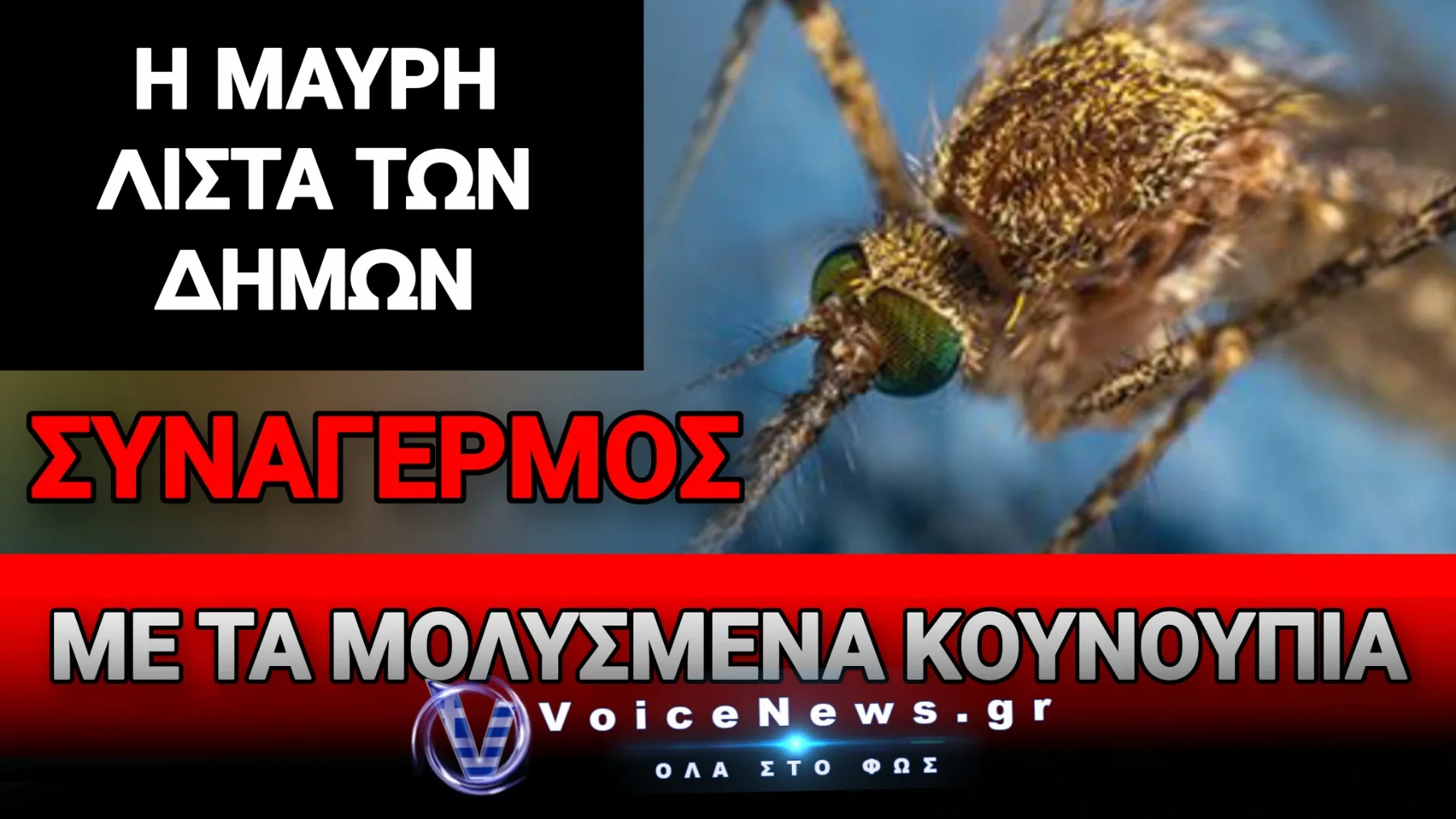 ΣΑΡΩΝΕΙ ΤΗΝ ΕΛΛΑΔΑ Ο ΙΟΣ ΤΟΥ ΔΥΤΙΚΟΥ ΝΕΙΛΟΥ – «ΕΡΧΟΝΤΑΙ ΚΙ ΑΛΛΟΙ ΝΕΚΡΟΙ!»