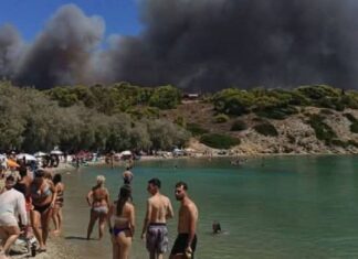 Φωτιά στη Σαλαμίνα: Οδηγία για άμεση μετακίνηση προς την παραλία – Συνδράμει και το Λιμενικό