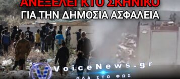 ΣΟΚ ΑΠΟ ΟΜΟΛΟΓΙΑ ΡΟΜΑ! «ΜΑΣ ΔΙΝΟΥΝ ΛΕΦΤΑ ΓΙΑ ΝΑ ΒΑΖΟΥΜΕ ΦΩΤΙΕΣ…»