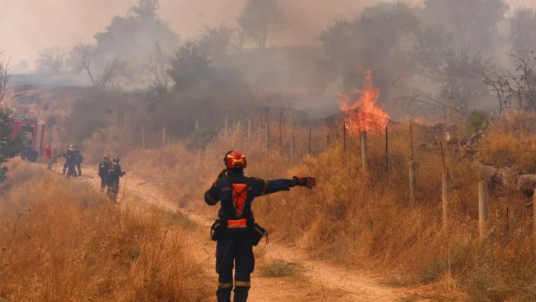 Συναγερμός στη Θεσσαλονίκη: Φωτιά σε εξέλιξη στη Θέρμη – Επιχειρούν επίγειες και εναέριες δυνάμεις