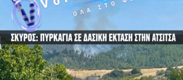 Πυρκαγιά σε δασική έκταση στην περιοχή Ατσίτσα στη Σκύρο