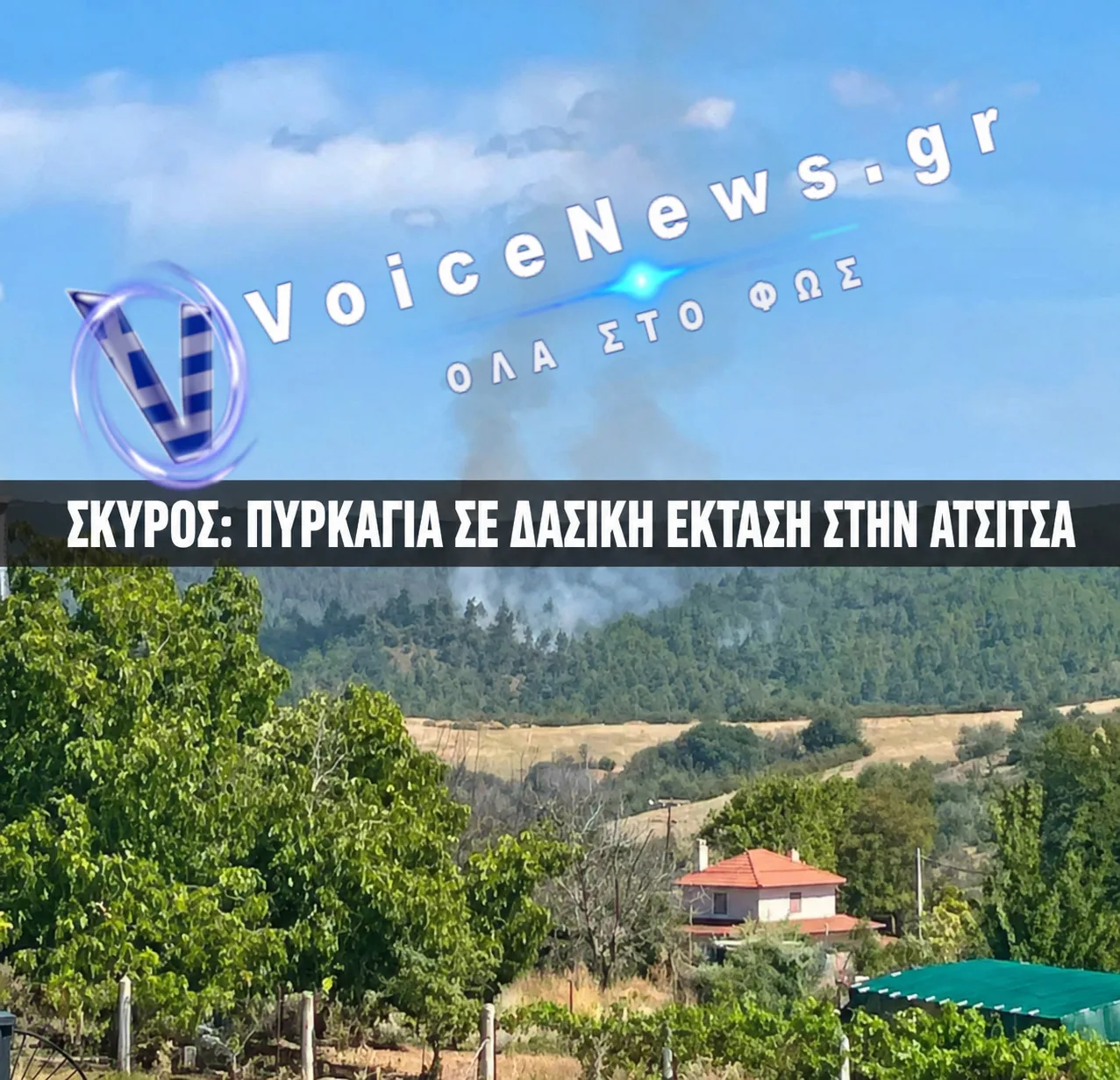 Πυρκαγιά σε δασική έκταση στην περιοχή Ατσίτσα στη Σκύρο