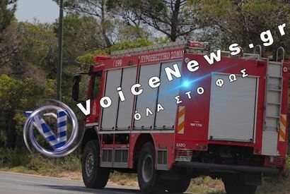 Ελεχθηκε άμεσα η πυρκαγιά που εκδηλώθηκε στην Πεντέλη.