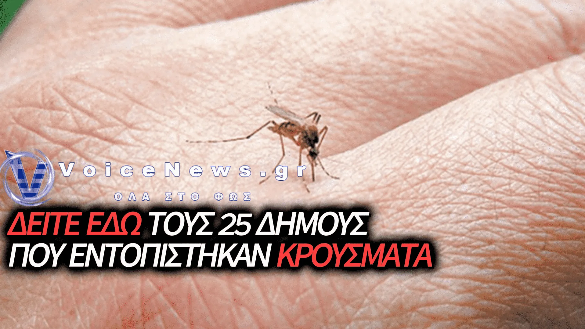 ΙΟΣ ΔΥΤΙΚΟΥ ΝΕΙΛΟΥ: 6 ΝΕΚΡΟΙ ΚΑΙ 65 ΚΡΟΥΣΜΑΤΑ ΣΤΗΝ ΕΛΛΑΔΑ – ΔΕΙΤΕ ΠΟΙΕΣ ΠΕΡΙΟΧΕΣ ΕΙΝΑΙ ΣΤΟ «ΚΟΚΚΙΝΟ»