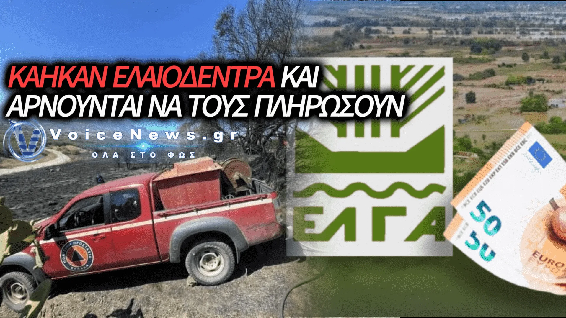ΕΛΓΑ: ΑΦΗΝΕΙ ΑΠΟΖΗΜΙΩΤΟΥΣ ΤΟΥΣ ΠΛΗΓΕΝΤΕΣ ΑΓΡΟΤΕΣ ΑΠΟ ΦΩΤΙΑ