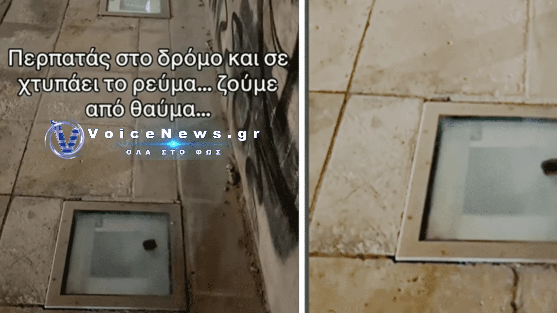 Καταγγελία για ηλεκτροπληξία σκύλου στο Κομμένο Μπεντένι: Φόβοι για επικίνδυνη διαρροή ρεύματος