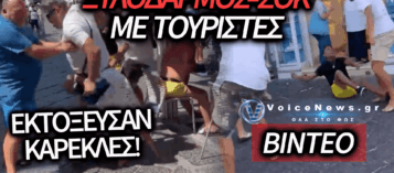 ΑΓΡΙΟ ΞΥΛΟ ΚΑΙ ΚΑΡΕΚΛΙΕΣ ΜΕΤΑΞΥ ΤΟΥΡΙΣΤΩΝ: ΠΕΔΙΟ ΜΑΧΗΣ ΚΕΝΤΡΙΚΟ ΣΤΕΝΟ ΣΕ ΠΑΣΙΓΝΩΣΤΟ ΝΗΣΙ – ΔΕΙΤΕ ΒΙΝΤΕΟ