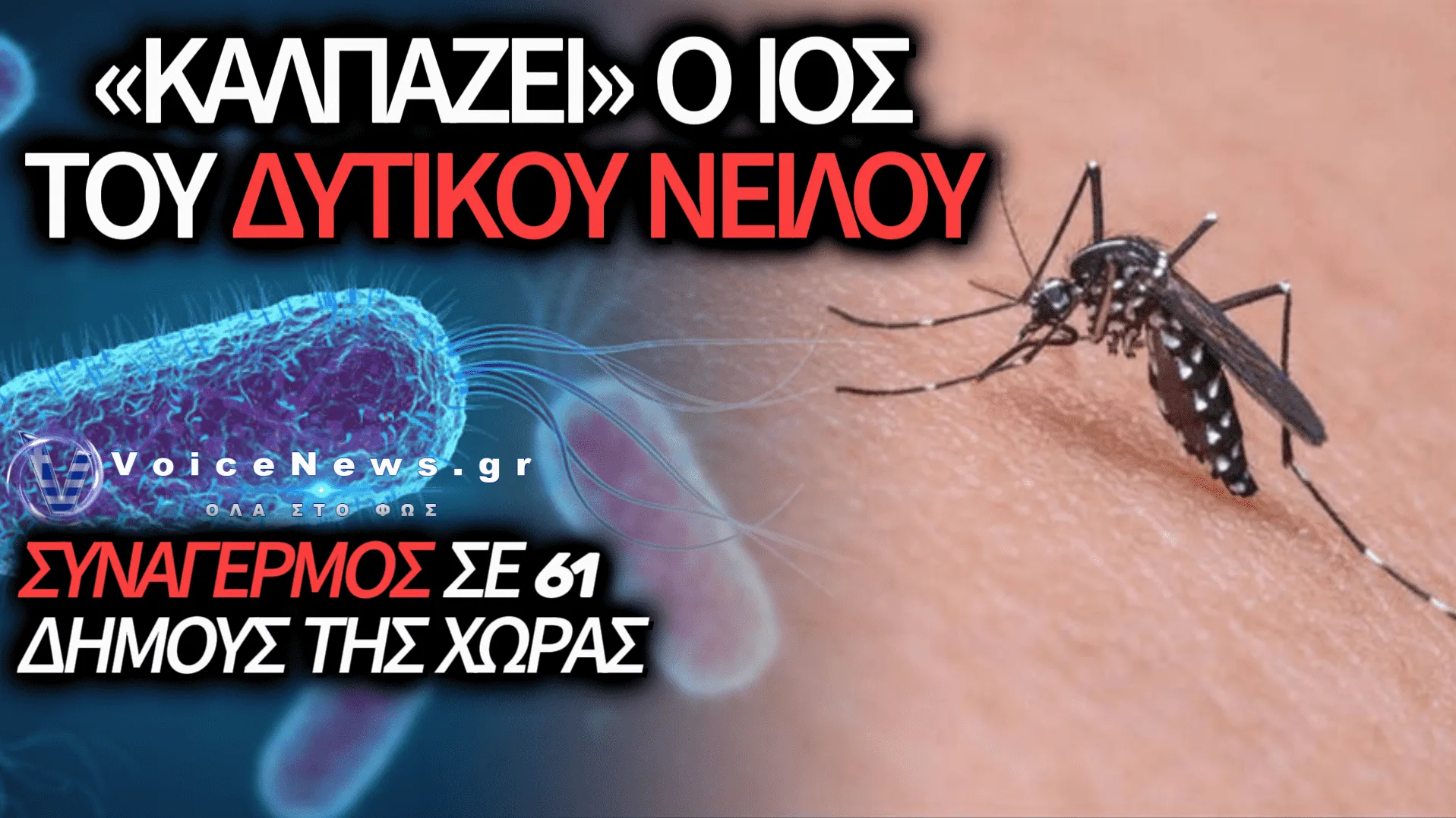 ΡΑΓΔΑΙΑ ΑΥΞΗΣΗ ΣΤΑ ΚΡΟΥΣΜΑΤΑ ΤΟΥ ΙΟΥ ΤΟΥ ΔΥΤΙΚΟΥ ΝΕΙΛΟΥ: ΣΤΟ ΣΤΟΧΑΣΤΡΟ Η ΑΤΤΙΚΗ ΚΑΙ ΑΛΛΟΙ 13 ΔΗΜΟΙ